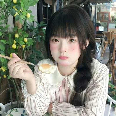 我的宠物是大象